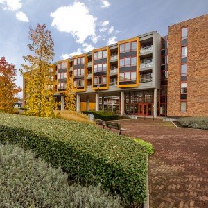 COMPAAN-Eindhoven-Leilinde-07