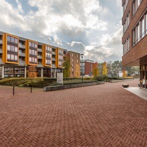 Eindhoven-Leilinde-COMPAAN-11