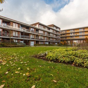 COMPAAN-Eindhoven-Leilinde-03