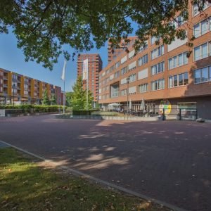 COMPAAN-Gagelbosch-Eindhoven-Archipel-een blik op Leilinde