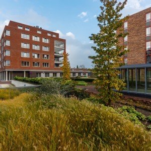 Eindhoven-Fleuriade-COMPAAN-03