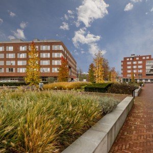 Eindhoven-Gagelbosch-COMPAAN-03